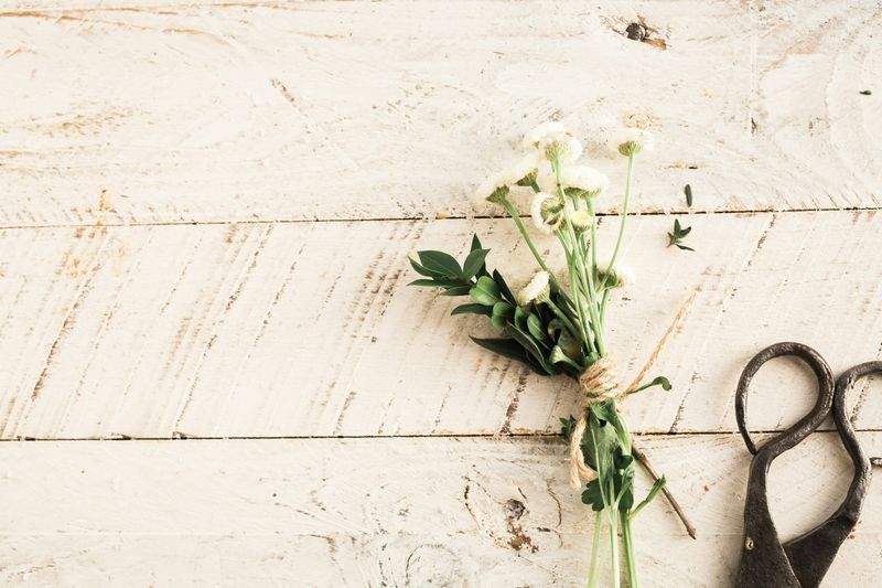 アトリエ和の手 - Image 13